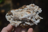 Natural Drusy Quartz Coated Calcite Pseudomorph Specimens x 6 From Alberts Mountain, Lesotho