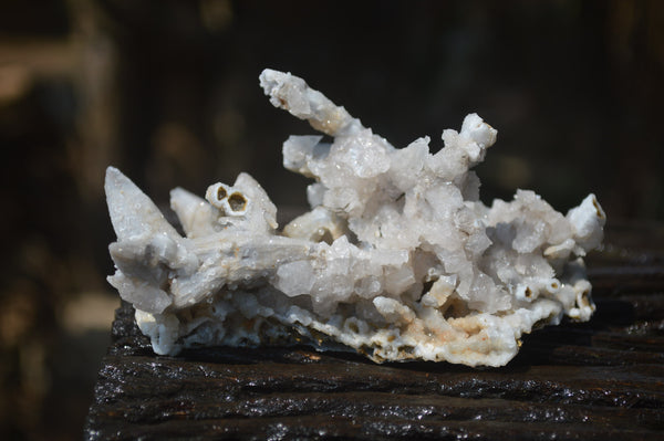 Natural Drusy Quartz Coated Calcite Pseudomorph Specimens x 6 From Alberts Mountain, Lesotho