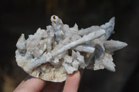 Natural Drusy Quartz Coated Calcite Pseudomorph Specimens x 6 From Alberts Mountain, Lesotho