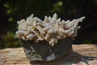 Natural Drusy Quartz Coated Calcite Pseudomorph Specimens x 6 From Alberts Mountain, Lesotho