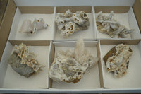 Natural Drusy Quartz Coated Calcite Pseudomorph Specimens x 6 From Alberts Mountain, Lesotho