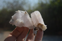 Natural Drusy Quartz Coated Calcite Pseudomorph Specimens x 6 From Alberts Mountain, Lesotho