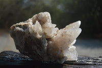 Natural Drusy Quartz Coated Calcite Pseudomorph Specimens x 6 From Alberts Mountain, Lesotho