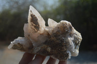 Natural Drusy Quartz Coated Calcite Pseudomorph Specimens x 6 From Alberts Mountain, Lesotho