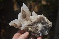 Natural Drusy Quartz Coated Calcite Pseudomorph Specimens x 6 From Alberts Mountain, Lesotho