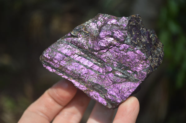 Natural Metallic Purpurite Cobbed Specimens x 6 From Erongo, Namibia