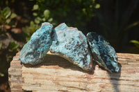 Natural Drusy Coated Malacolla On Dolomite Specimens x 6 From Likasi, Congo