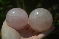 Polished Rose Quartz Spheres x 4 From Ambatondrazaka, Madagascar