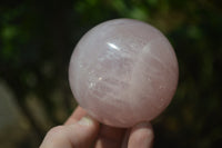 Polished Rose Quartz Spheres x 4 From Ambatondrazaka, Madagascar