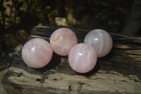 Polished Rose Quartz Spheres x 4 From Ambatondrazaka, Madagascar