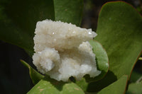 Natural Drusy Quartz Coated Calcite Pseudomorph Specimens x 7 From Alberts Mountain, Lesotho