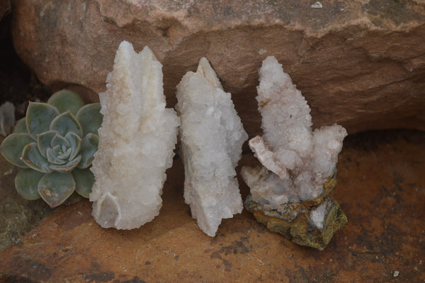 Natural Drusy Quartz Coated Calcite Pseudomorph Specimens x 7 From Alberts Mountain, Lesotho