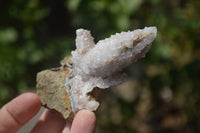 Natural Drusy Quartz Coated Calcite Pseudomorph Specimens x 7 From Alberts Mountain, Lesotho