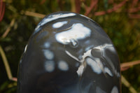 Polished Snow / Orca Agate Standing Free Forms x 1 From West Coast, Madagascar