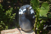 Polished Snow / Orca Agate Standing Free Forms x 1 From West Coast, Madagascar