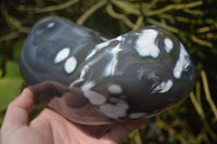 Polished Snow / Orca Agate Standing Free Forms x 1 From West Coast, Madagascar