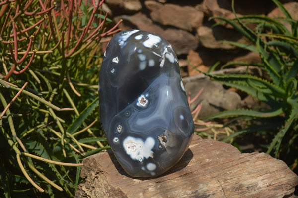 Polished Snow / Orca Agate Standing Free Forms x 1 From West Coast, Madagascar