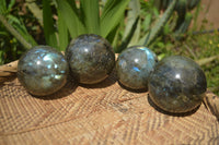 Polished Labradorite Spheres x 4 From Tulear, Madagascar