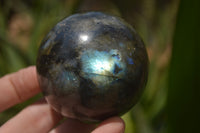 Polished Labradorite Spheres x 4 From Tulear, Madagascar