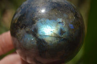 Polished Labradorite Spheres x 4 From Tulear, Madagascar