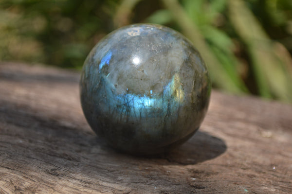 Polished Labradorite Spheres x 4 From Tulear, Madagascar