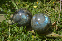 Polished Labradorite Spheres x 4 From Tulear, Madagascar