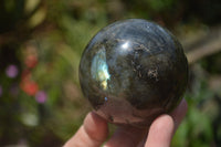 Polished Labradorite Spheres x 4 From Tulear, Madagascar