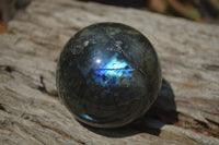 Polished Labradorite Spheres x 4 From Tulear, Madagascar