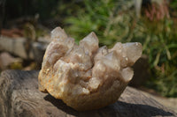 Natural Smokey Phantom Quartz Clusters x 1 From Luena, Congo