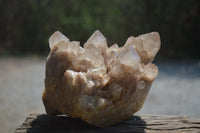 Natural Smokey Phantom Quartz Clusters x 1 From Luena, Congo