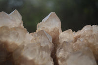 Natural Smokey Phantom Quartz Clusters x 1 From Luena, Congo