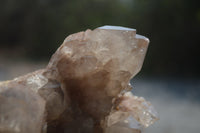 Natural Smokey Phantom Quartz Clusters x 1 From Luena, Congo