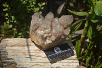 Natural Smokey Phantom Quartz Clusters x 1 From Luena, Congo