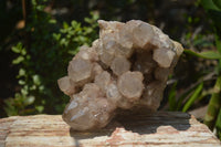 Natural Smokey Phantom Quartz Clusters x 1 From Luena, Congo