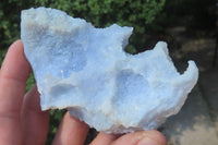 Natural Etched Blue Chalcedony Specimens x 5 From Nsanje, Malawi