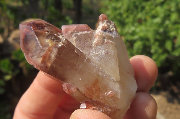 Natural Red Hematoid Quartz Specimens x 24 From Zimbabwe