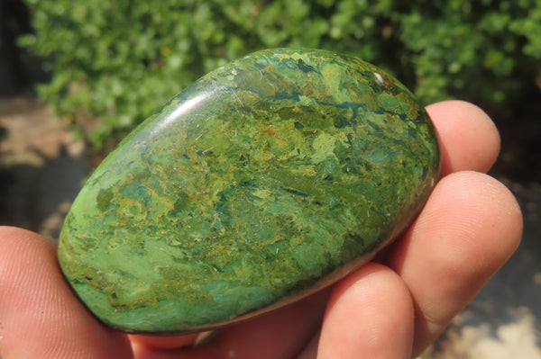 Polished Green Verdite Palm Stones x 12 From Zimbabwe