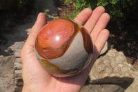 Polished Polychrome Jasper Spheres x 2 From Mahajanga, Madagascar