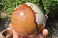 Polished Polychrome Jasper Spheres x 2 From Mahajanga, Madagascar