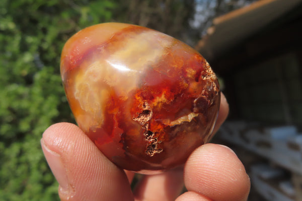 Polished Carnelian Gemstone Eggs x 12 From Madagascar