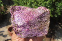 Natural Stichtite Cobbed Specimens x 2 From Barberton, South Africa