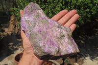 Natural Stichtite Cobbed Specimens x 2 From Barberton, South Africa