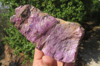 Natural Stichtite Cobbed Specimens x 2 From Barberton, South Africa