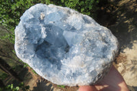 Natural Celestite Geode Specimen x 1 From Sakoany, Madagascar