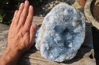 Natural Celestite Geode Specimen x 1 From Sakoany, Madagascar