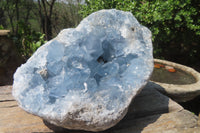 Natural Celestite Geode Specimen x 1 From Sakoany, Madagascar