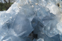 Natural Celestite Geode Specimen x 1 From Sakoany, Madagascar