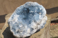 Natural Celestite Geode Specimen x 1 From Sakoany, Madagascar