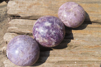 Polished Lepidolite with Pink Rubellite Palm Stones x 12 From Ambatondrazaka, Madagascar