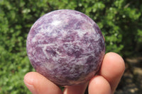 Polished Lepidolite with Pink Rubellite Palm Stones x 12 From Ambatondrazaka, Madagascar